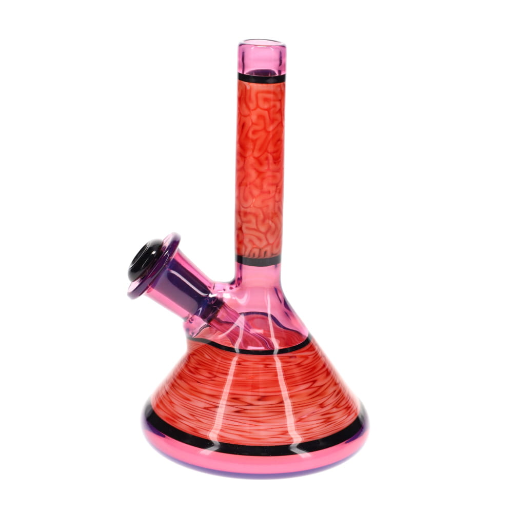 Algae Glass Encalmo Brain Tech Purple Section Tube