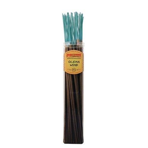Ocean Wind Wild Berry BIGGIE Incense Sticks / 5