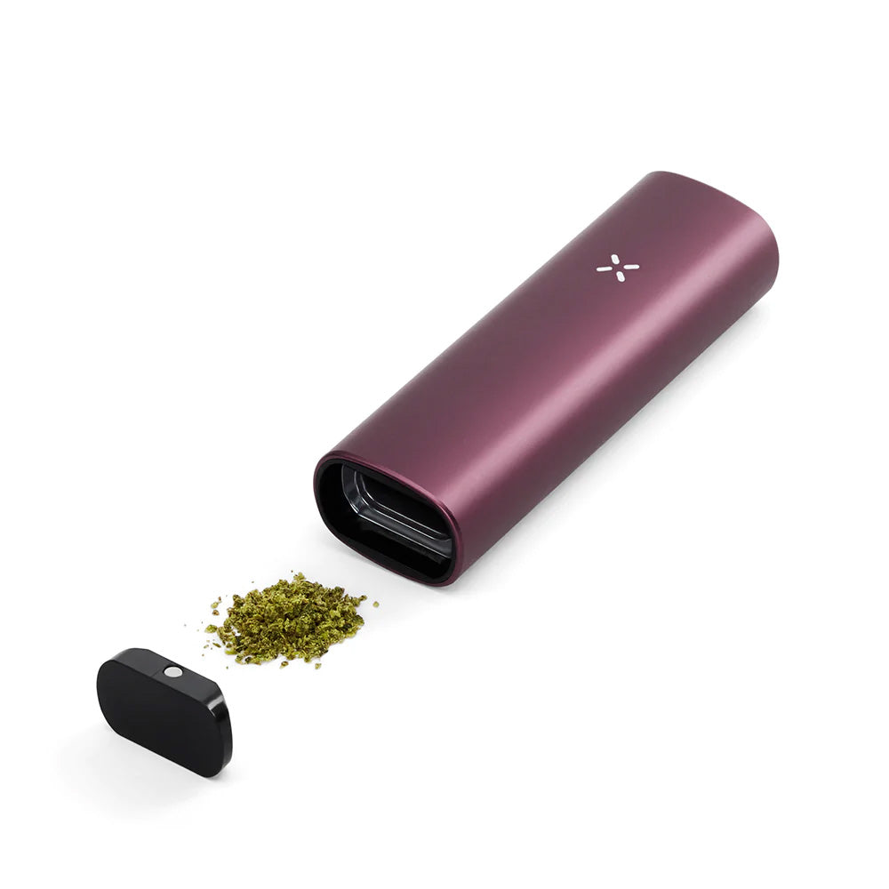 Pax Plus Complete Kit - Elderberry