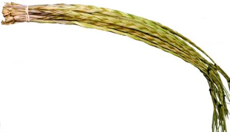 Sweetgrass Braid